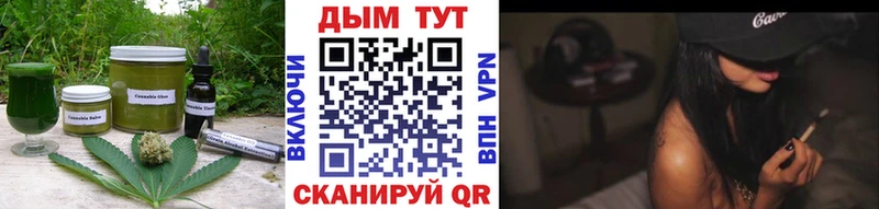 купить   Шенкурск  Cannafood конопля 