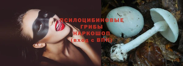 PSILOCYBIN Алексин