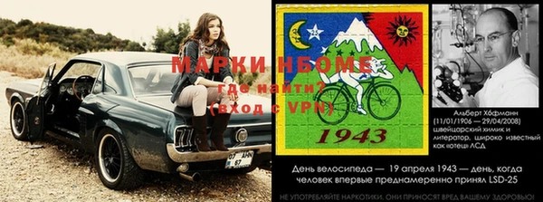 амф Алзамай