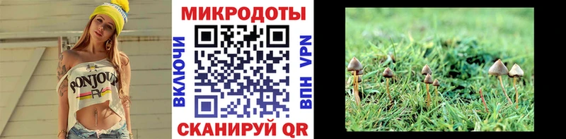 Галлюциногенные грибы мицелий  MEGA ссылки  Шенкурск  закладка 